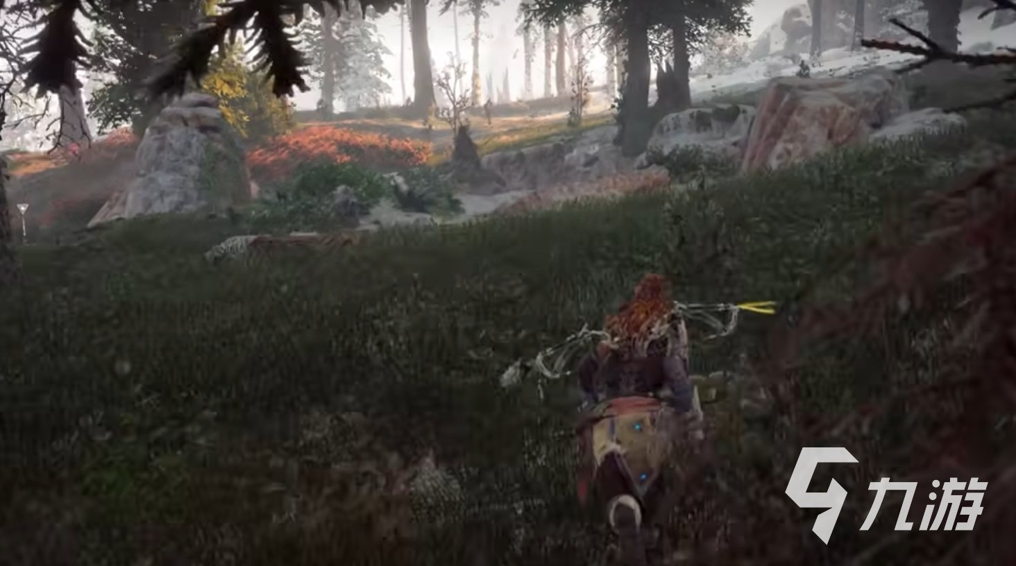 森林 完整版 截图13